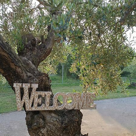 The Secret Olive House Villa Nea Michaniona Luaran gambar