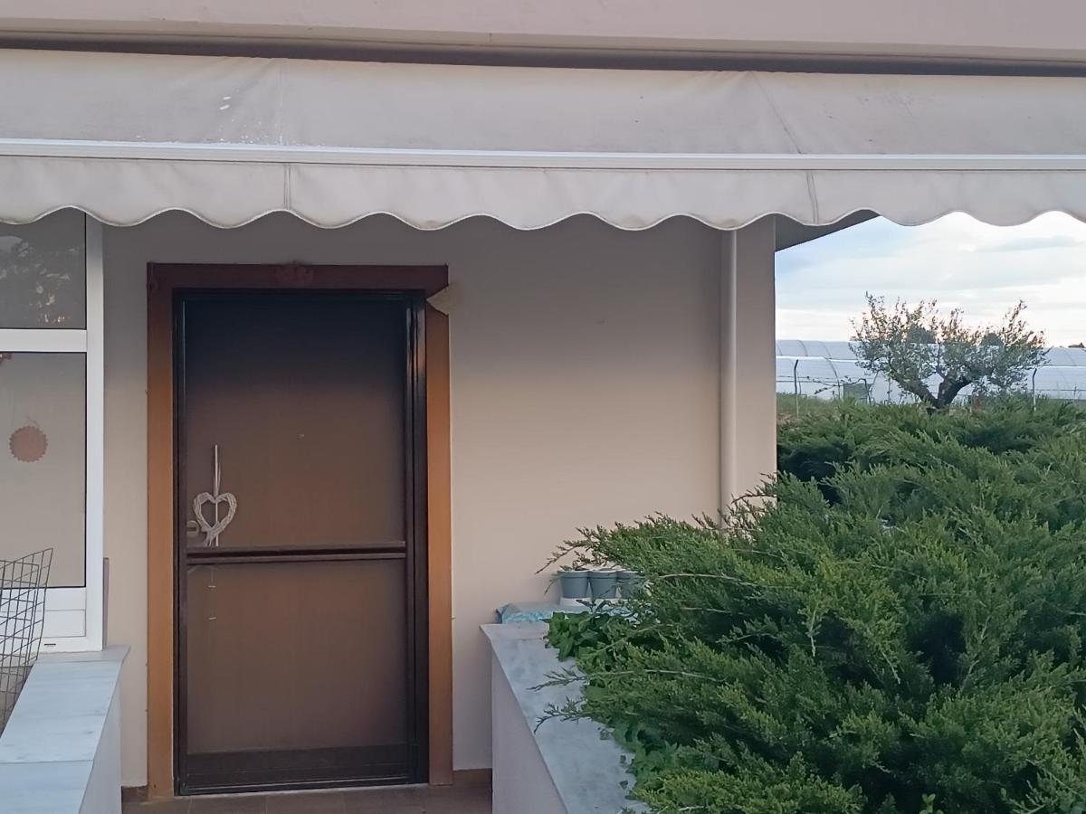 The Secret Olive House Villa Nea Michaniona Luaran gambar