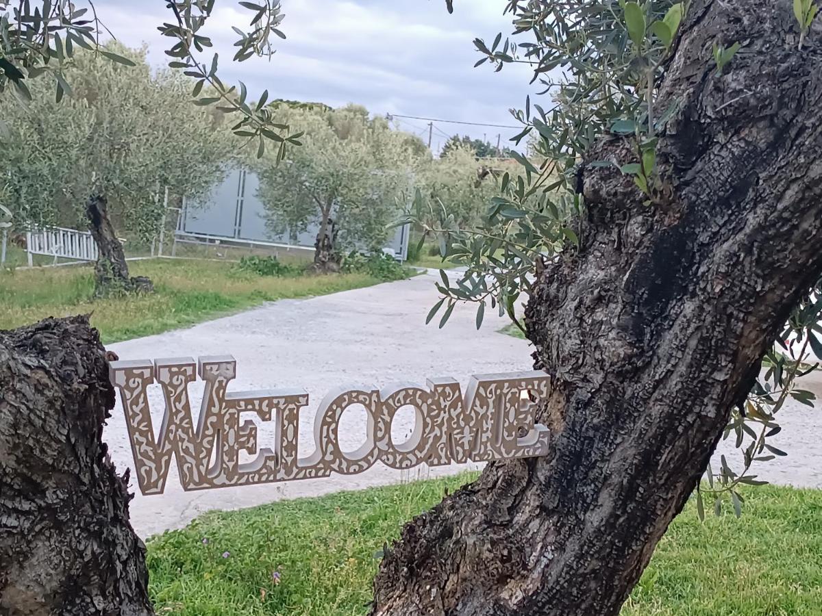 The Secret Olive House Villa Nea Michaniona Luaran gambar
