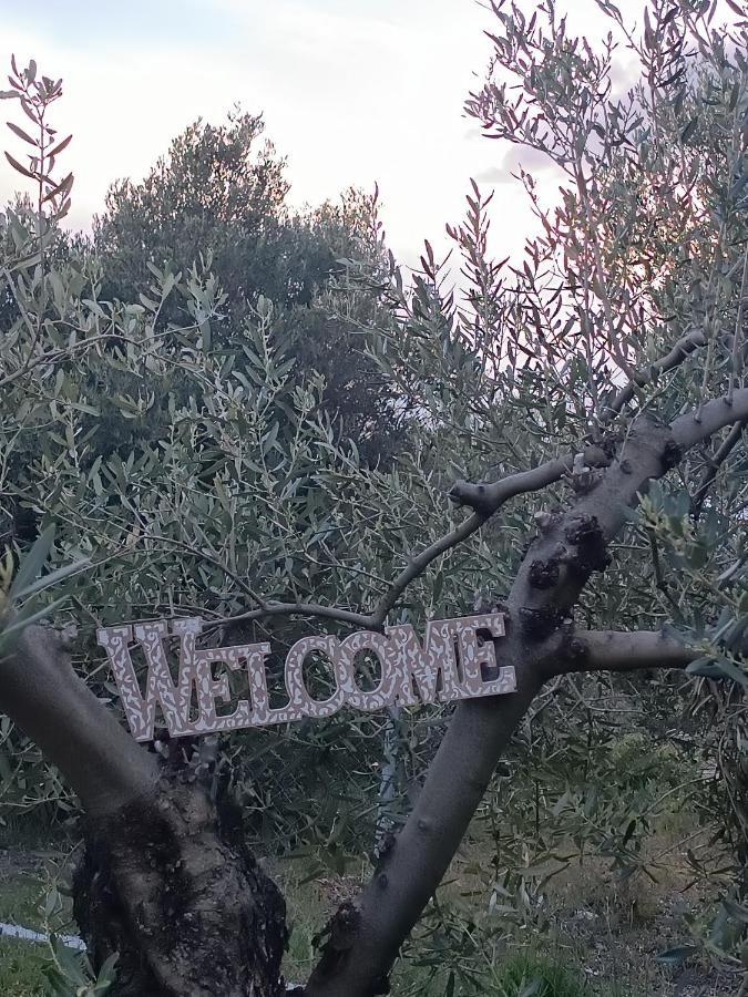 The Secret Olive House Villa Nea Michaniona Luaran gambar