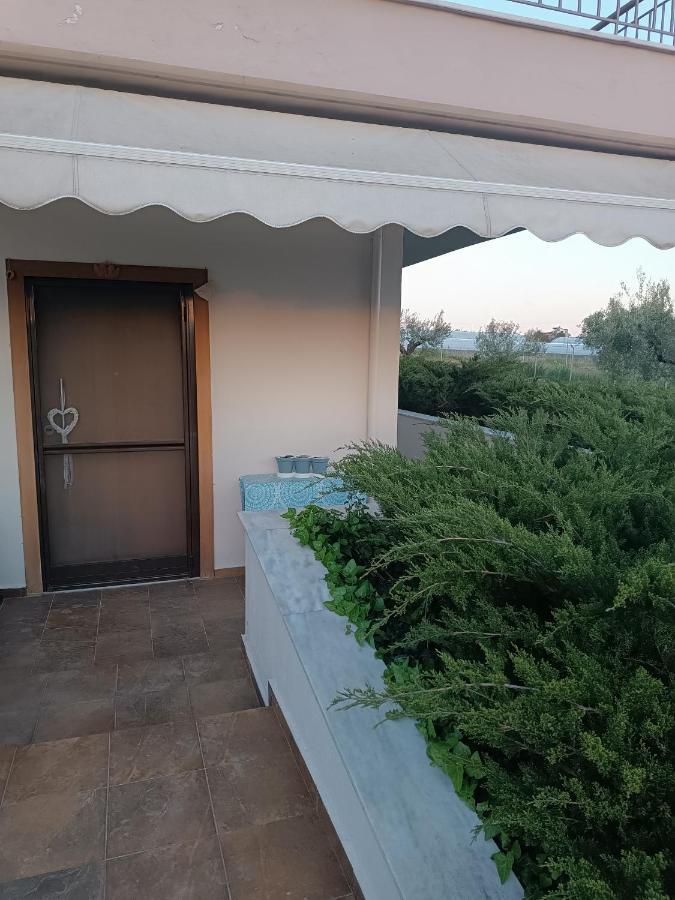 The Secret Olive House Villa Nea Michaniona Luaran gambar