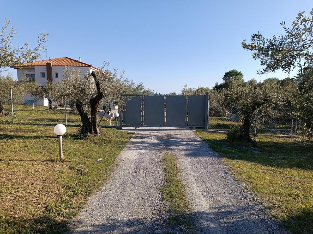 The Secret Olive House Villa Nea Michaniona Luaran gambar