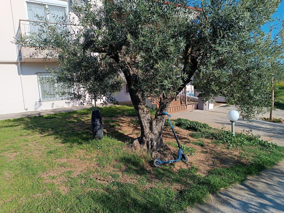 The Secret Olive House Villa Nea Michaniona Luaran gambar