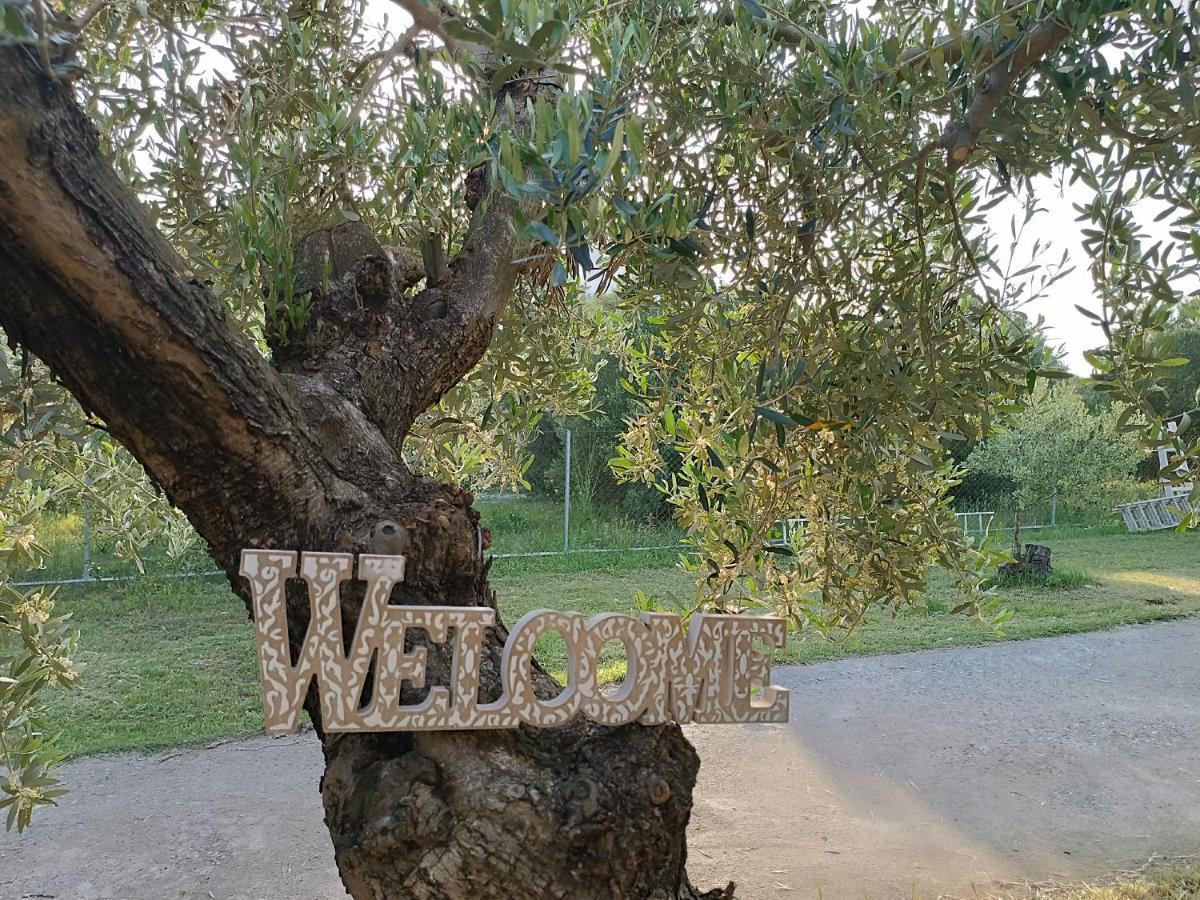 The Secret Olive House Villa Nea Michaniona Luaran gambar